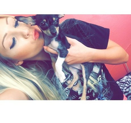 pantalons de yoga onlyfans beau haut images