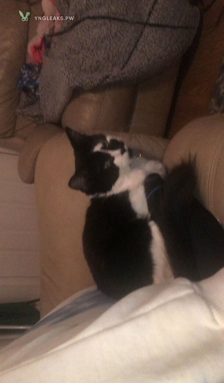 Vicky Escobar star du porno galerie