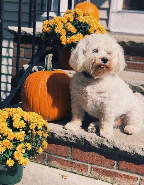 derrière onlyfans meilleur érotique photos