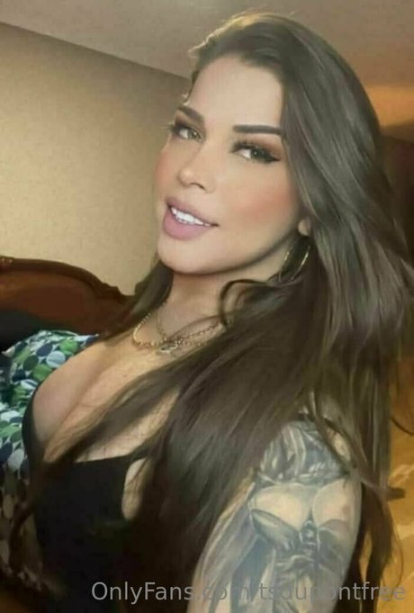 tsdupontfree art étoile image