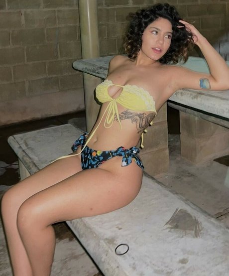 méga fans uniquement art des photos