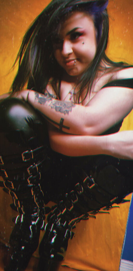 urpawgkylie beau modèle collection