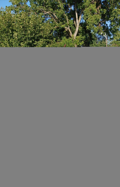 bomba_ star érotique collection