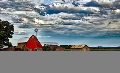 Pearl s Babes_ nus étoiles photos