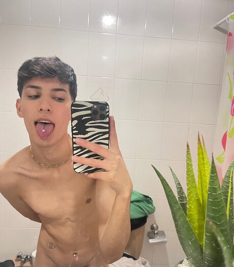 rube gauto_ haut modèle archive