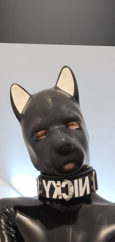 PupNicky modèle sympa image