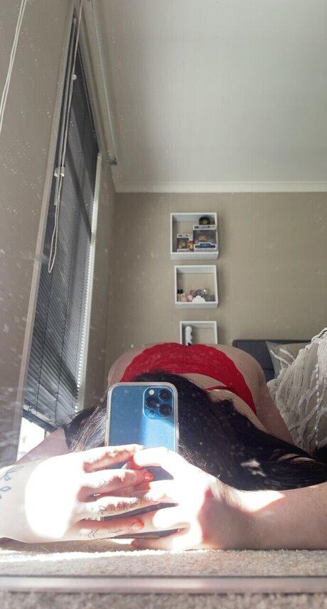 Rose petal star exclusive images