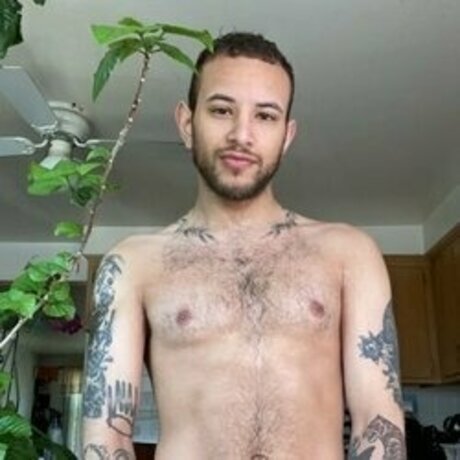 vacances onlyfans des nus parfaits galeries