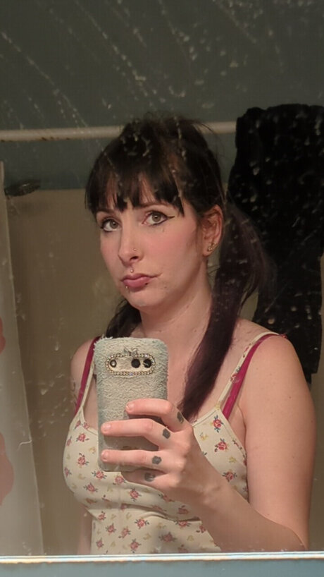 Pregnant bunny étoile adulte photo