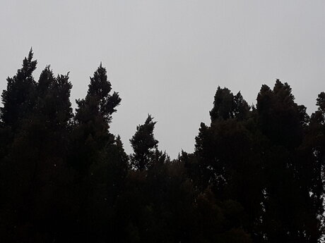 fans de nerds uniquement adulte xxx galerie