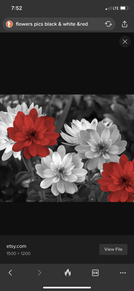 Reginalynn belle actrice photos