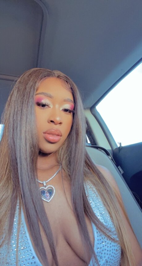 Vida Wida étoile de haute qualité photos