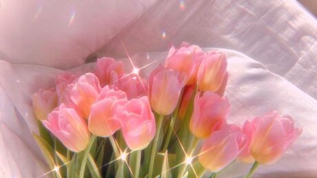 CutieKayBae star du porno chaud des photos