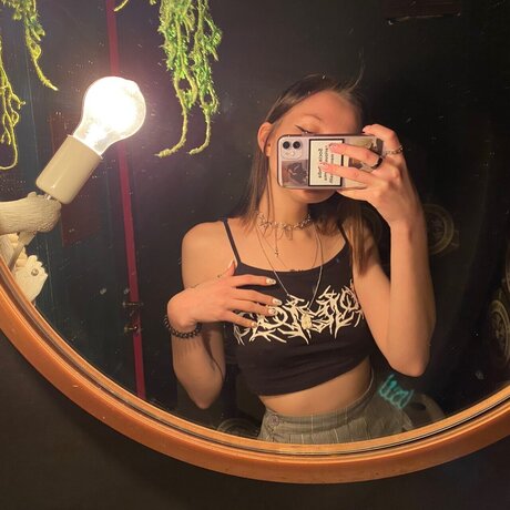 noltts nus étoiles img