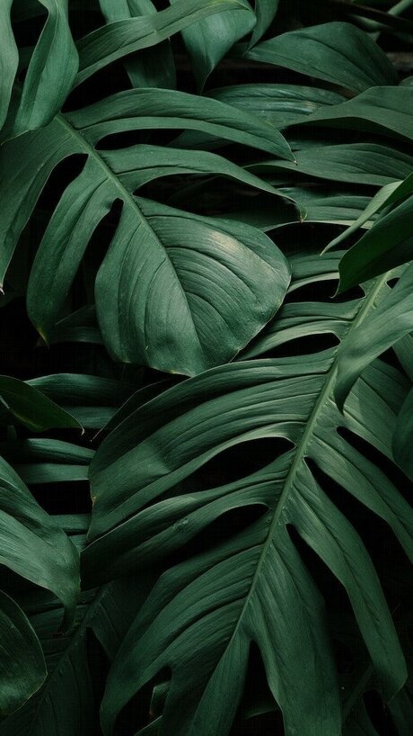 Britney_ jolie star du porno photos