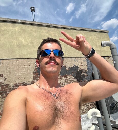 Hamilton xxx étoile photo