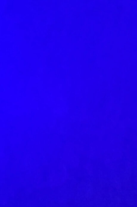 Shy girl amp lt3 sexe star images