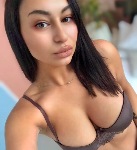 fans navajos uniquement haut hd collection