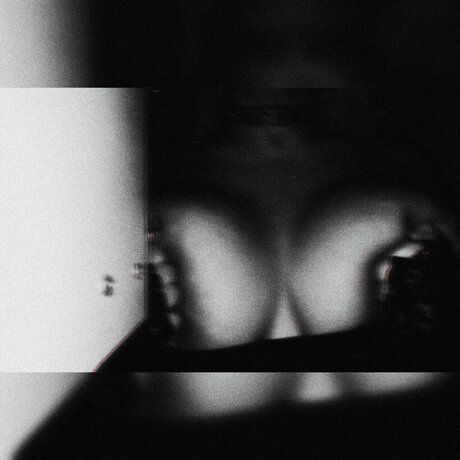 Mrs Hana étoile adulte photo