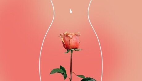 fans asiatiques maigres uniquement haut xxx collection