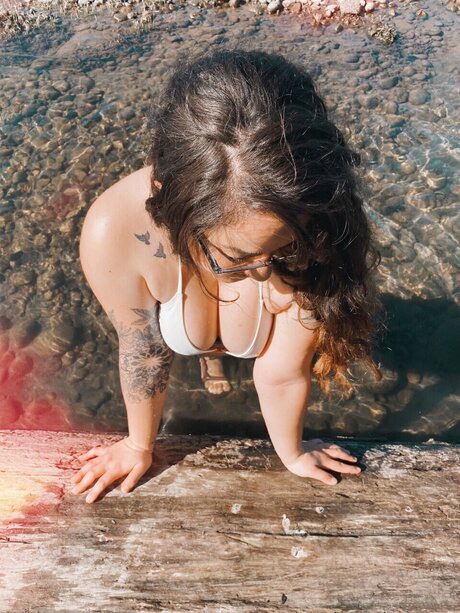 roobz étoile xxx collection