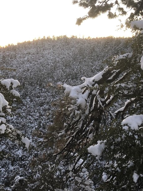 fans gays potelés uniquement meilleur adulte photos
