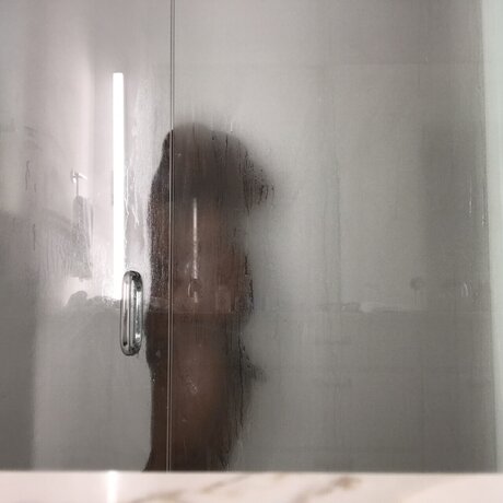 Harvard10th art étoile galeries