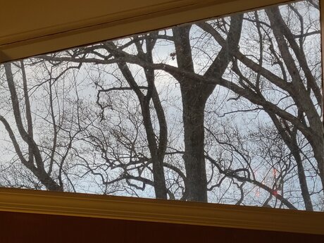 Trans M lf sexe star du porno img