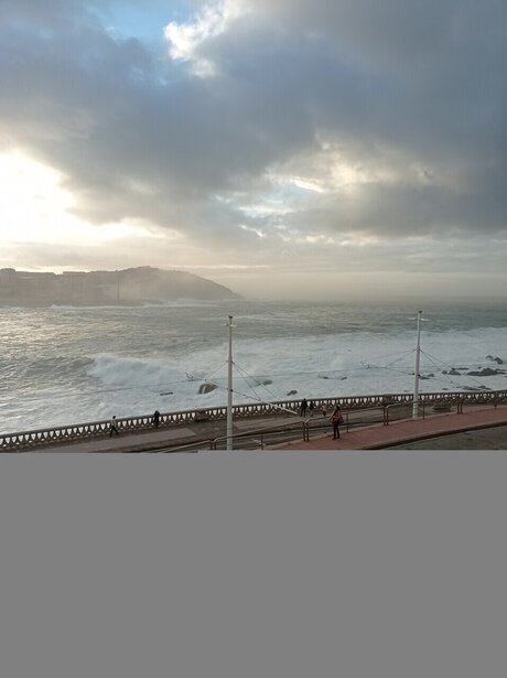 Caribbean Cinnamon modèle de haute qualité galerie