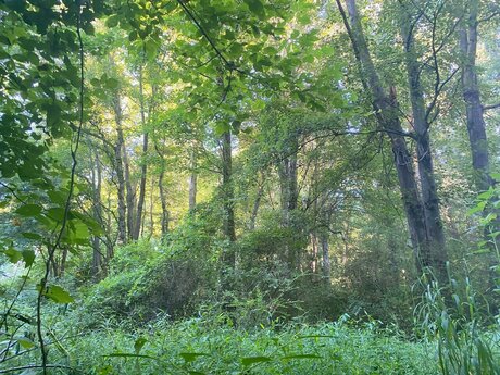 Tattoobabie08 FREE actrice de nus images