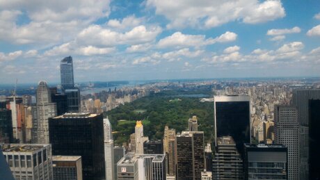 Patrick Lee belle étoile collection