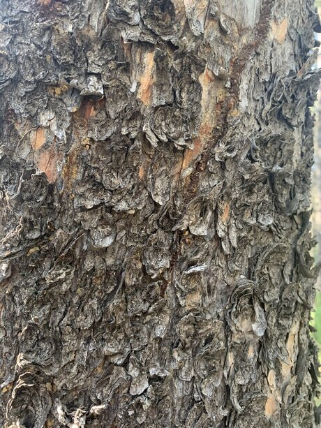 fans noirs uniquement sexe érotique galerie