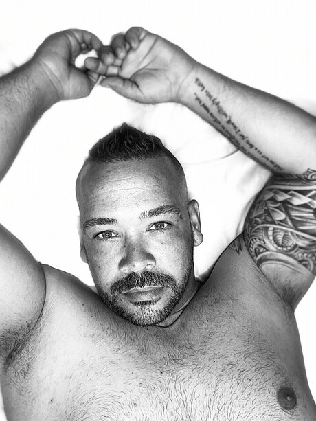 MrP modèle sympa galerie