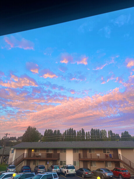 Sativa Syd modèle de sexe images