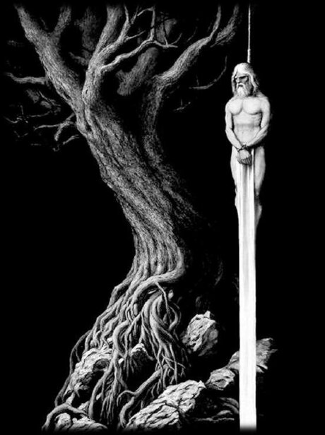 V1K1NG nus star du porno archive