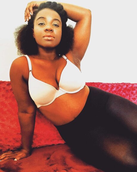 Katbull modèle adulte photo