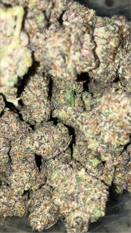 Money Mal modèle sexy img