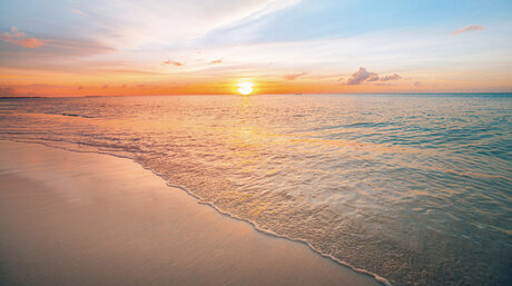 Patriciaa actrice image