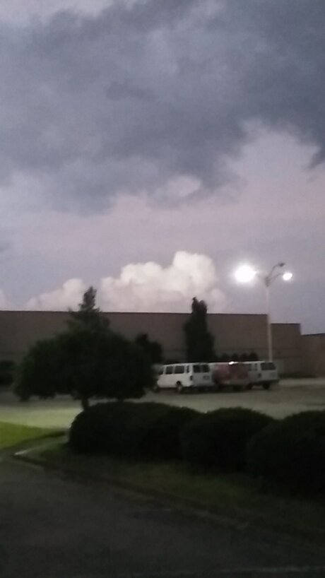 Bre star du porno galerie