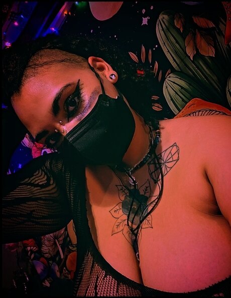 M Dussa sexe de star du porno image