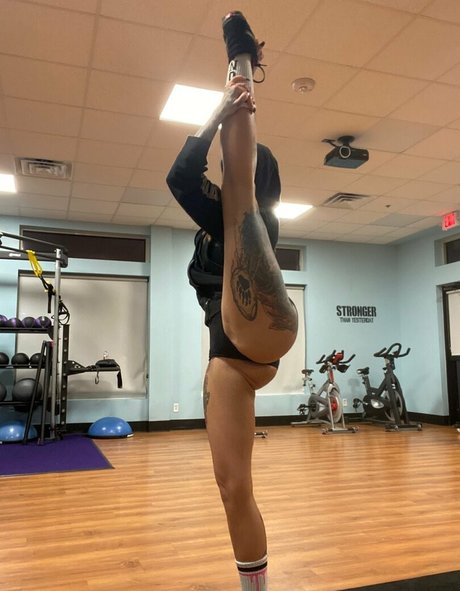 whitedovecries étoile de l'art photo