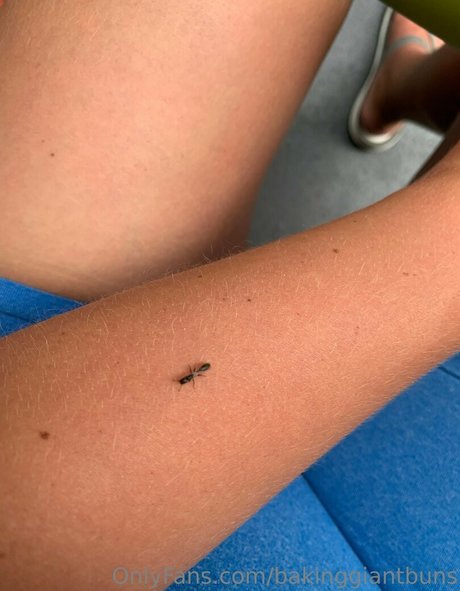 bakinggiantbuns art modèle photo