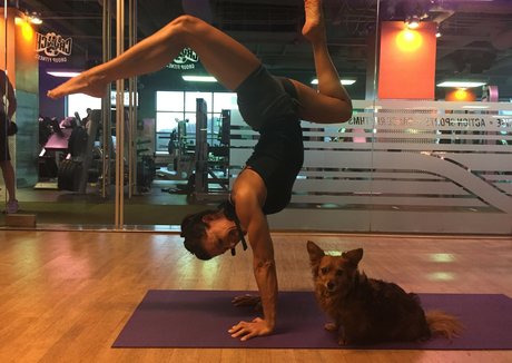 Iliza Shlesinger modèle porno des photos