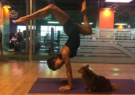 fans de monstres uniquement assez exclusif collection