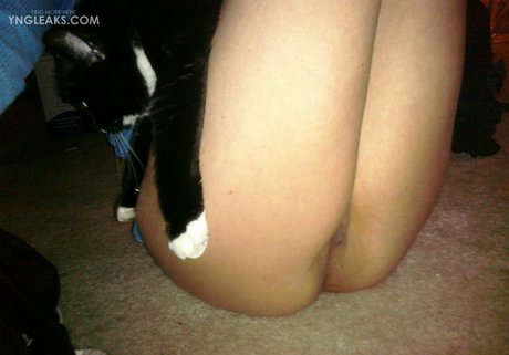 fans uniquement du dmv bien chaud collection