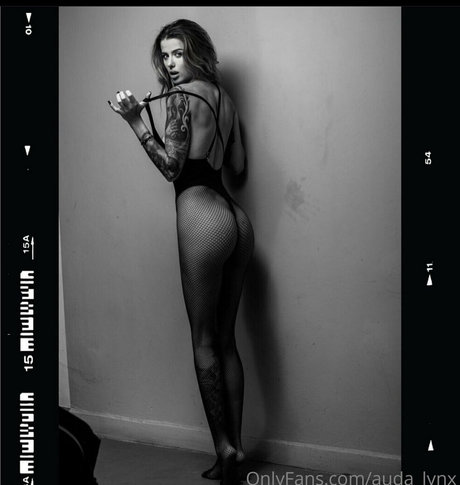 no zapret jolie étoile galerie