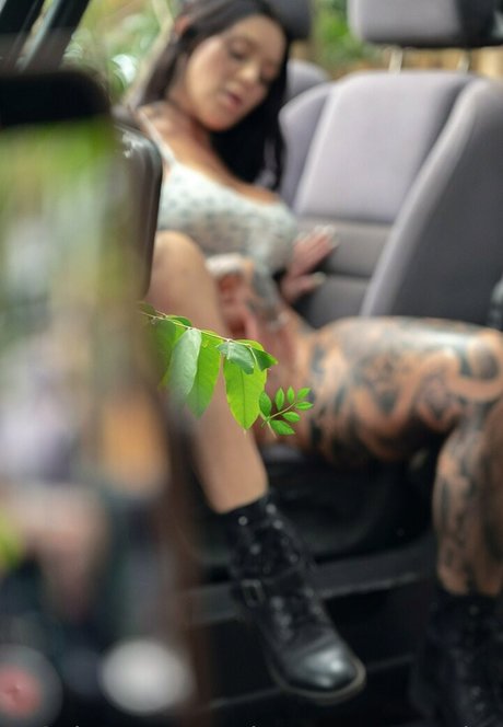 ohrangutangerotica haut modèle images