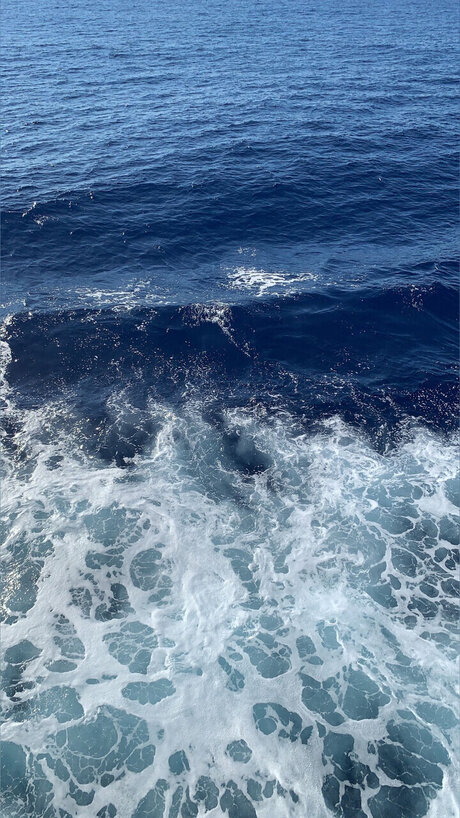 lesbiennes asiatiques onlyfans hd gratuit des photos