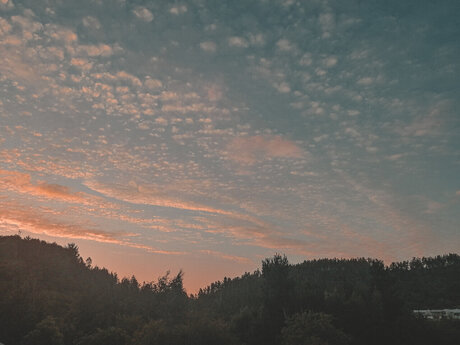 moro star du porno exclusive images