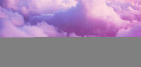 _COCO S VIP PAGE_ star du sexe galerie